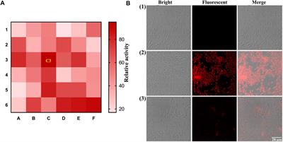 Visual Sensing of β-Glucosidase From Intestinal Fungus in the Generation of Cytotoxic Icarisid II